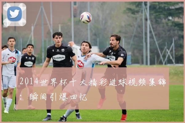 2014世界杯十大精彩进球视频集锦：瞬间引爆回忆