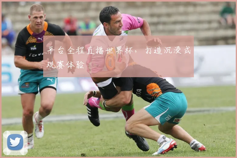 平台全程直播世界杯，打造沉浸式观赛体验