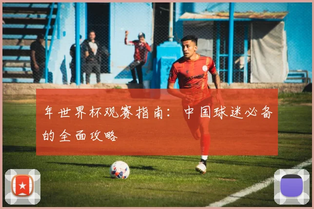 年世界杯观赛指南：中国球迷必备的全面攻略