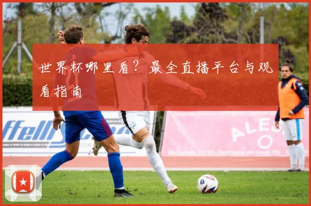 世界杯哪里看？最全直播平台与观看指南