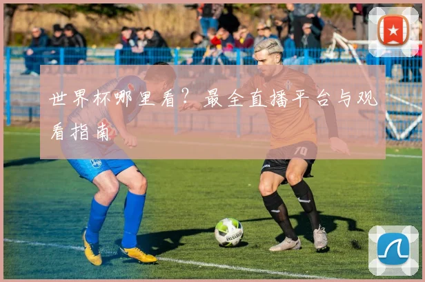 世界杯哪里看?最全直播平台与观看指南